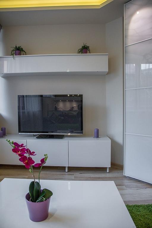Oliwkowy, Apartament Widokowy Z Duzym Tarasem 扎科帕内 外观 照片